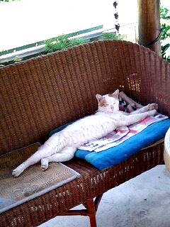 サブキャラクター？！