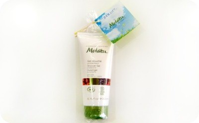 アナタなら どっち (・◇・)