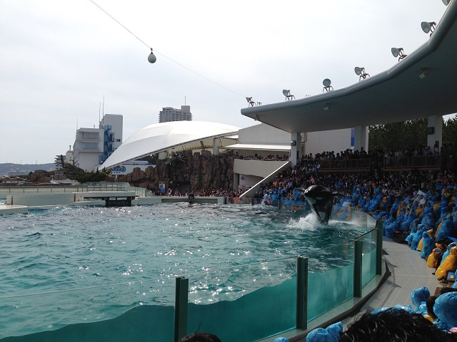 海のギャング！！！！