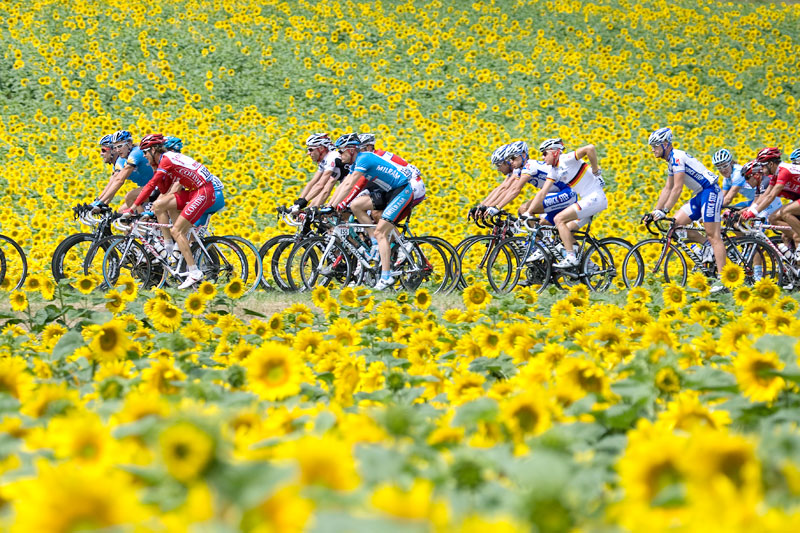 【ツールドフランス】Peugeot1969年アシスタントカー　チームBIC ツールドフランス】Peugeot1969年アシスタントカー チームBIC