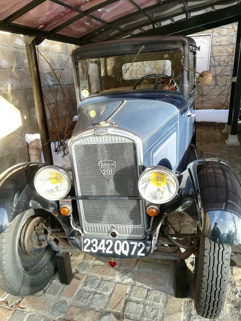 なんと...！！！