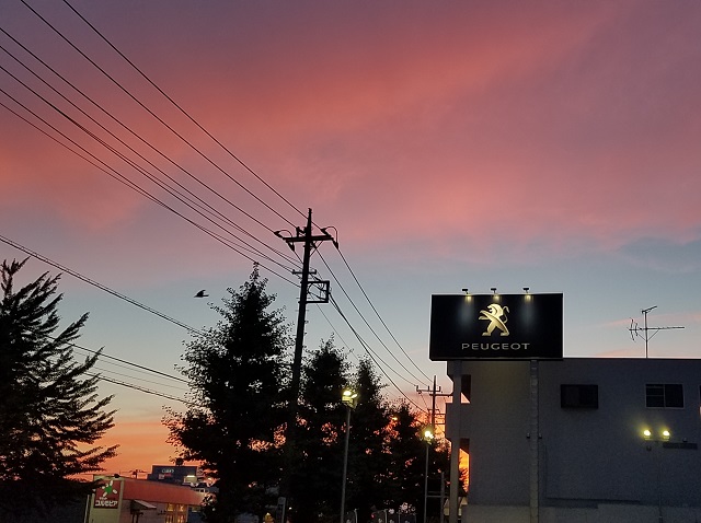 今週もありがとうございました＊