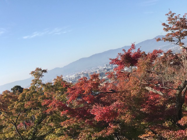去年の京都