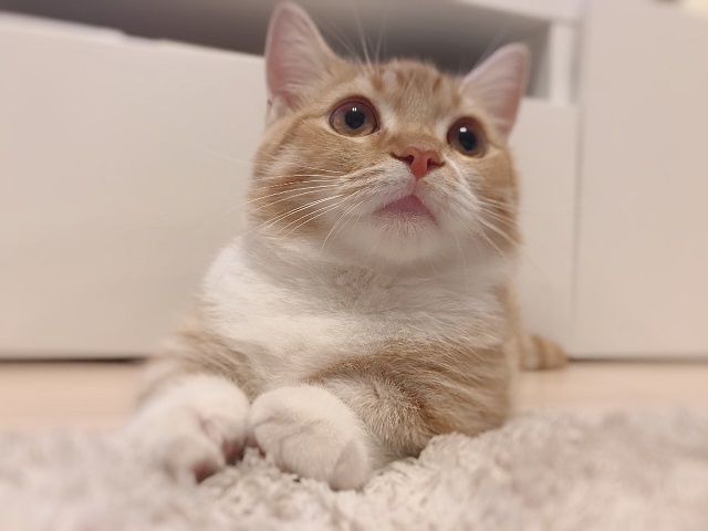 癒されました♥