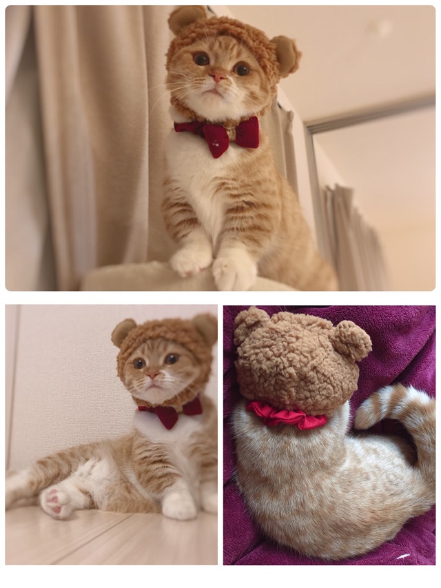 癒されました♥