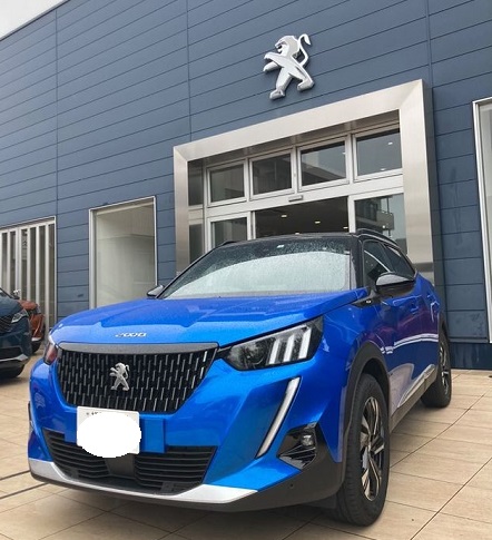 🦁ちいさなライオンフェア🦁