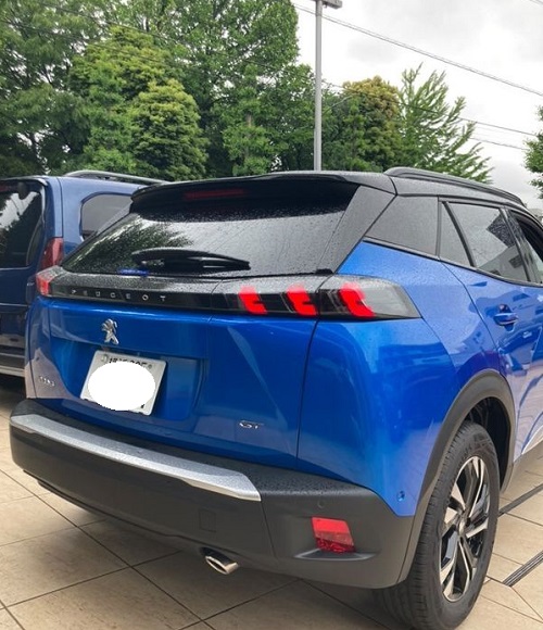 🦁ちいさなライオンフェア🦁