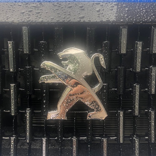 雨＊６月６日は何の日・・・？