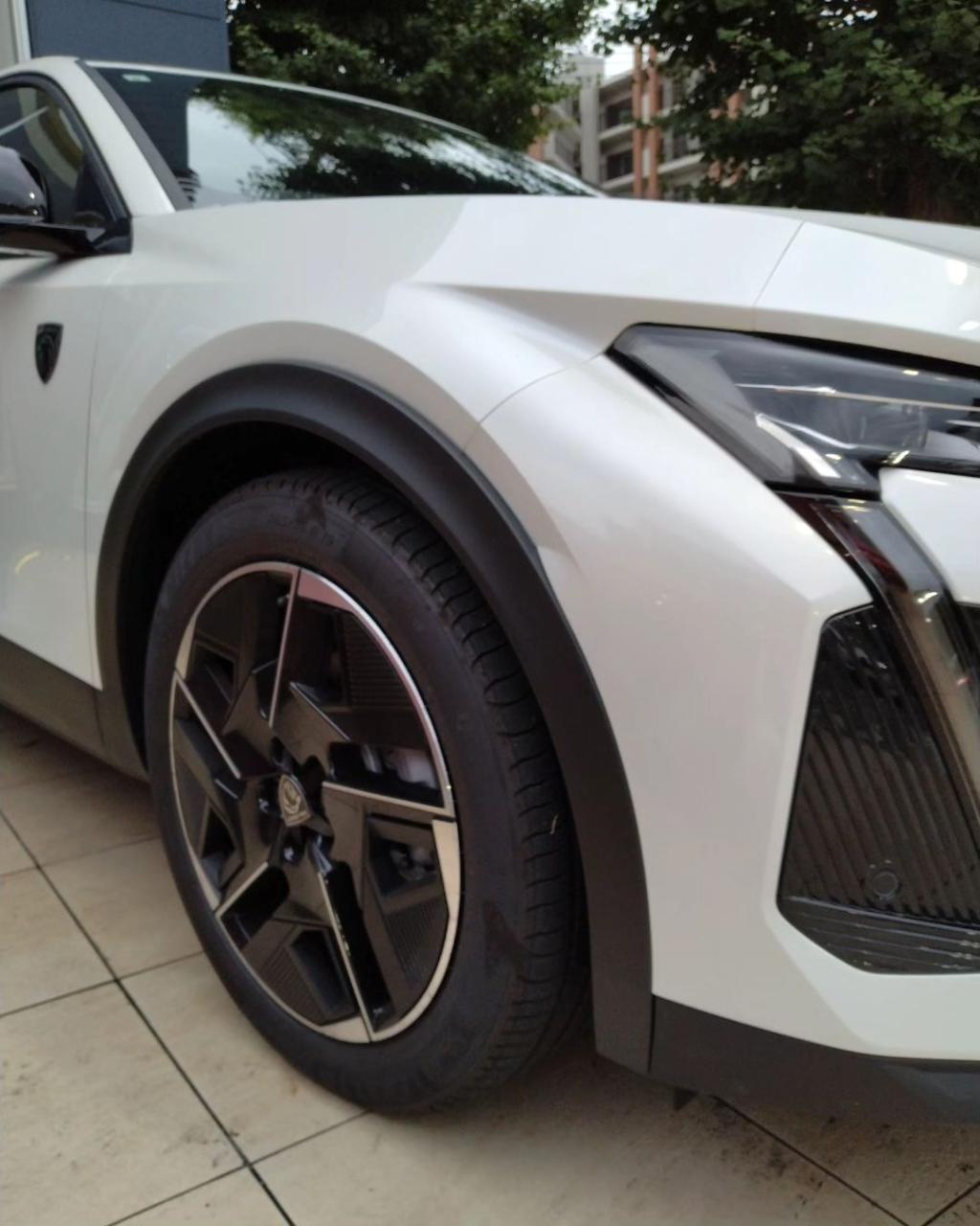 フェア一日目🦁