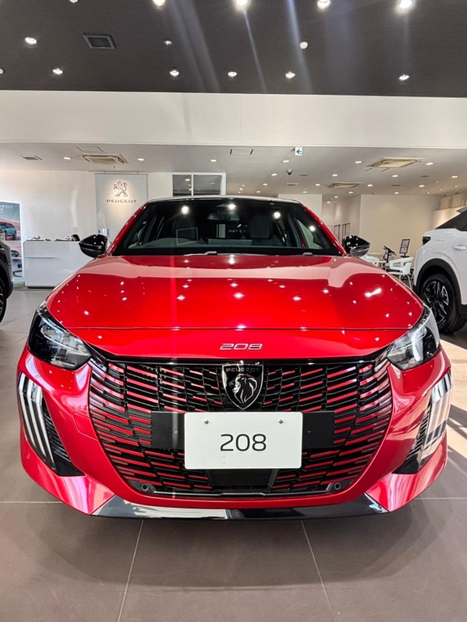  208 HYBRID🚗