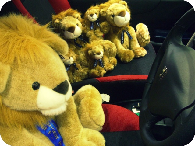 はじめまして！