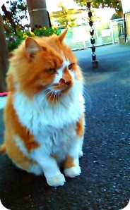 メインキャラクター？！