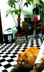 メインキャラクター？！