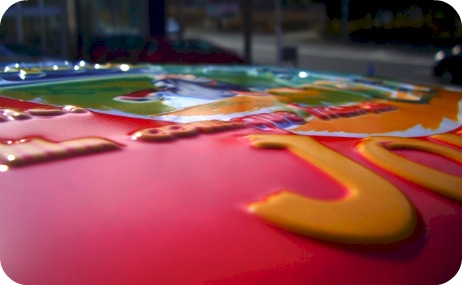 ♦Collection Panel♦