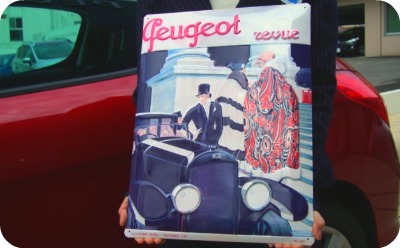 ♦Collection Panel♦