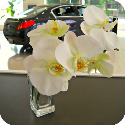 ＨＡＰＰＹ な 出来事！