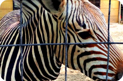 動物博士 と　in　川崎