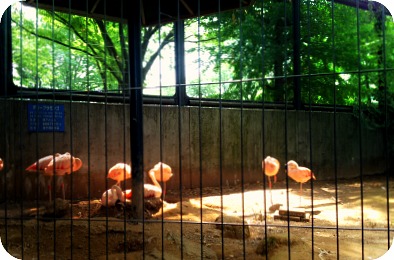 動物博士 と　in　川崎