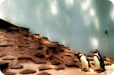 動物博士 と　in　川崎