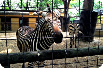 動物博士 と　in　川崎