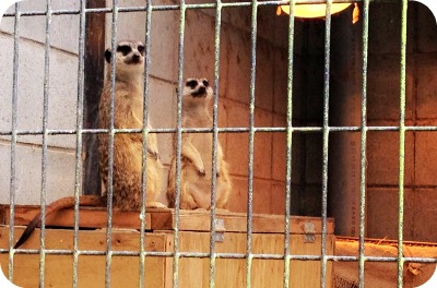 動物博士 と　in　川崎