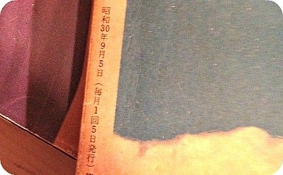 ☾パリ猫の生き方✩