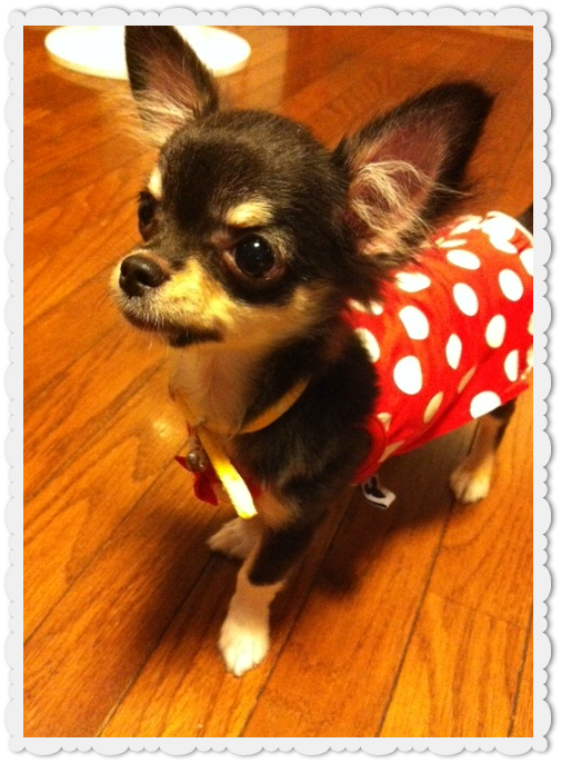 アノ人にそっくり？