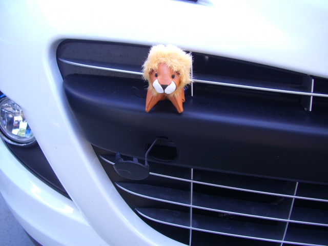 認定中古車の仲間入り