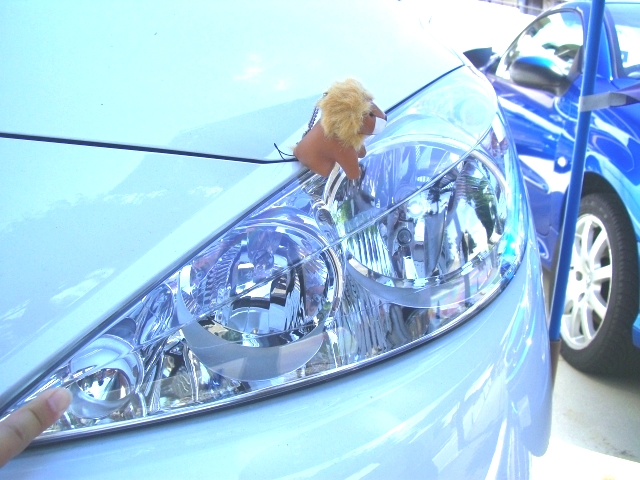 認定中古車の仲間入り