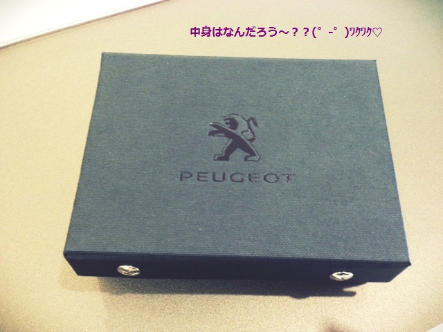 ☆PEUGEOT ＆ OXYGEN　コラボ商品☆