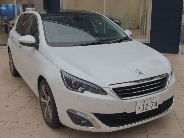 動画アップしました！！