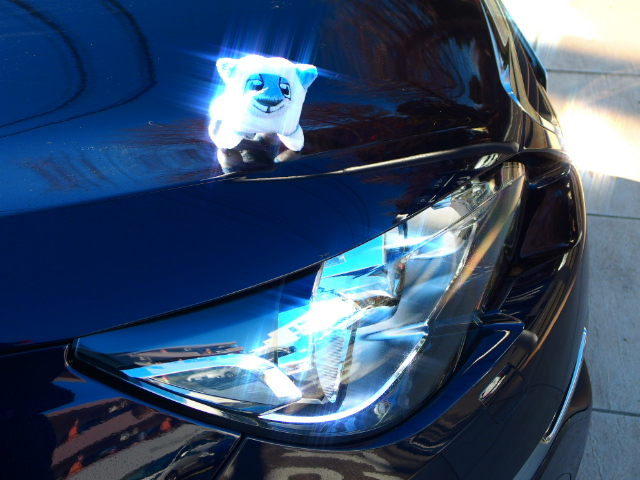 ☆　308Premiumに舞い降りる(^∀^*)/　☆