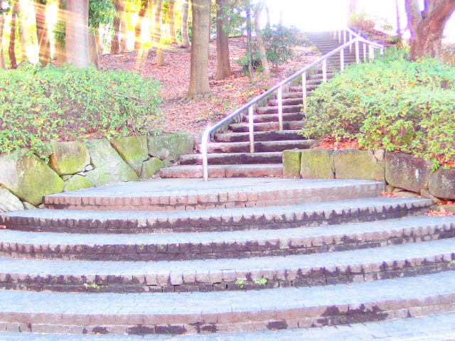 ♪　お向かいの・・・　♪