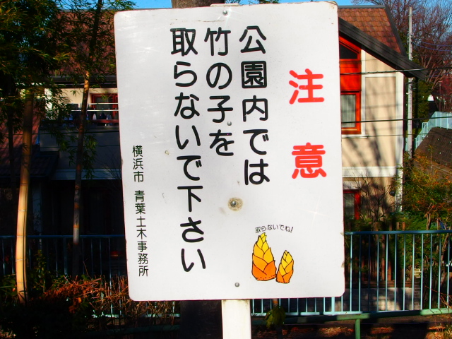 ♪　お向かいの・・・　♪