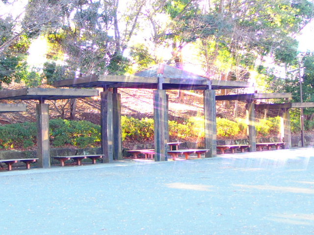 ♪　お向かいの・・・　♪