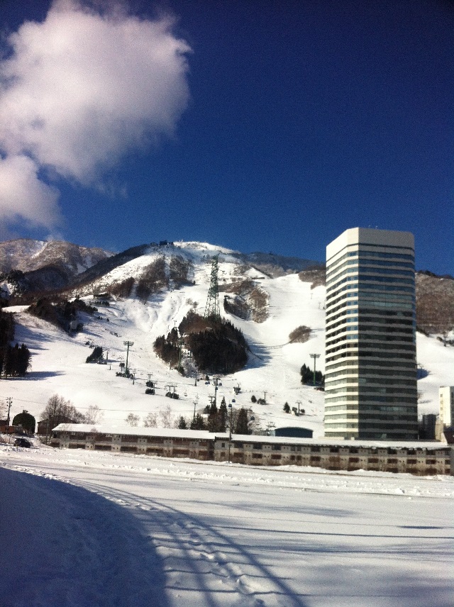 雪と花粉とわたし