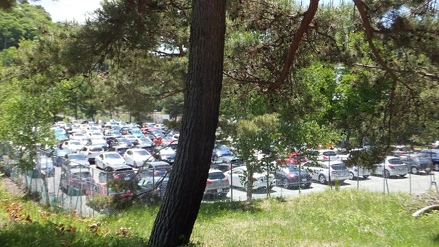 ライオンミーティング