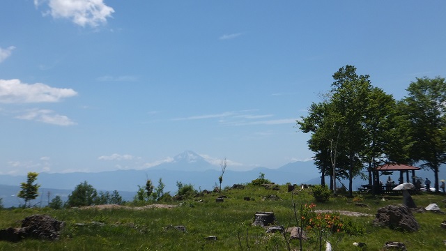 ライオンミーティング