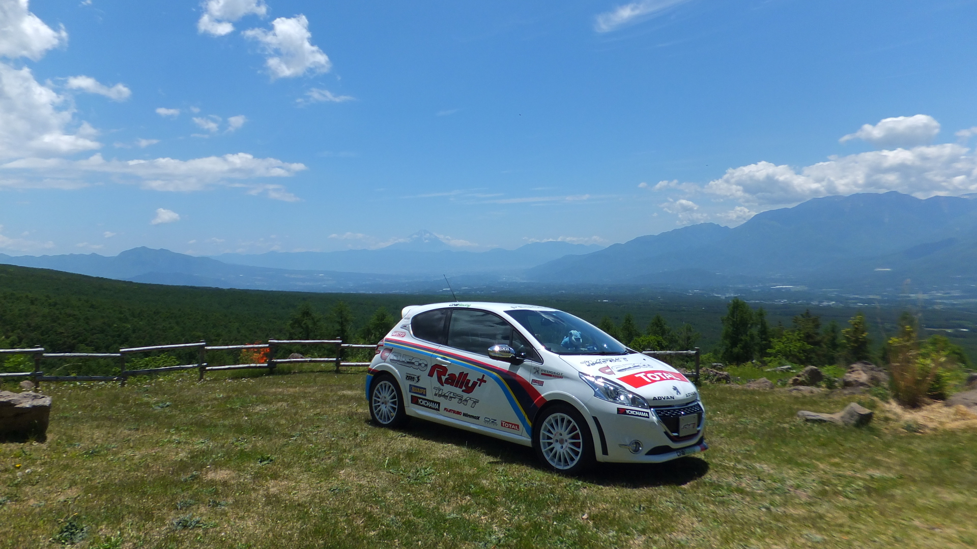 ライオンミーティング