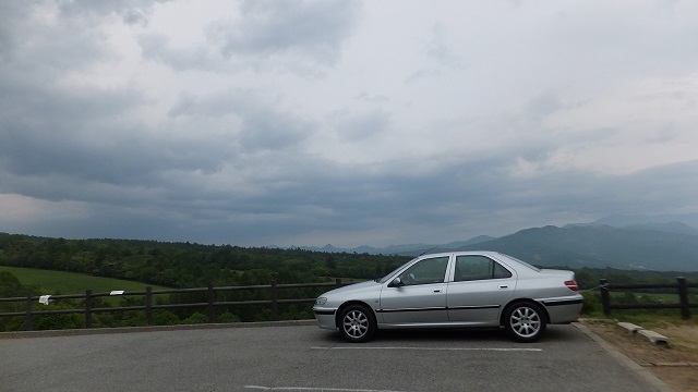 ライオンミーティング