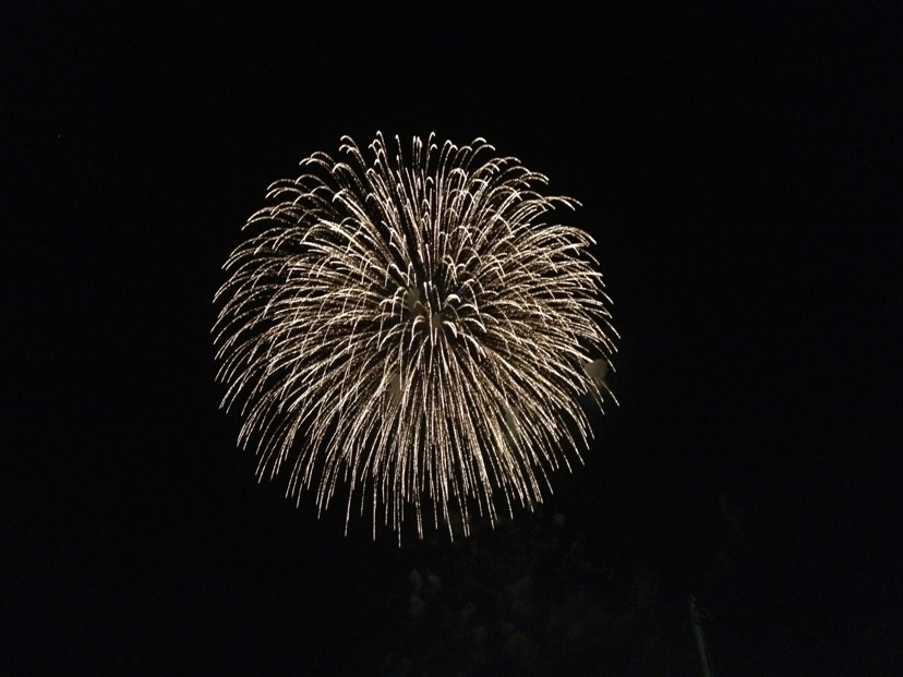 ☆夏の風物詩☆