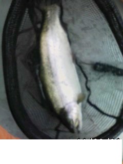 芦ノ湖での一時