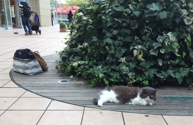 たまプラのアイドル♪