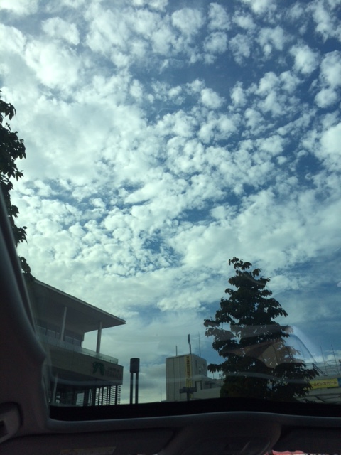 たまプラのアイドル♪