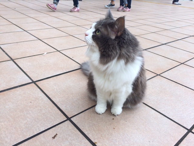 たまプラのアイドル♪