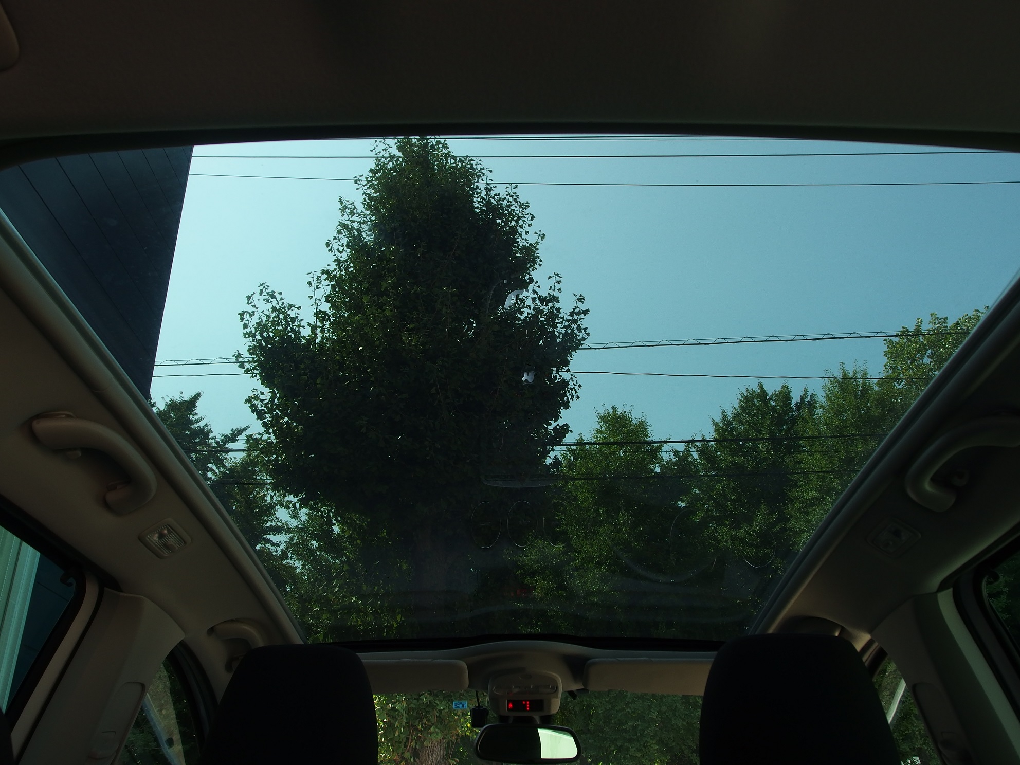 認定中古車入荷情報♪