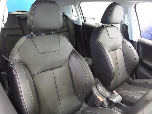 2008LEATHER EDITION