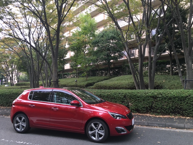 初めてのドライブ