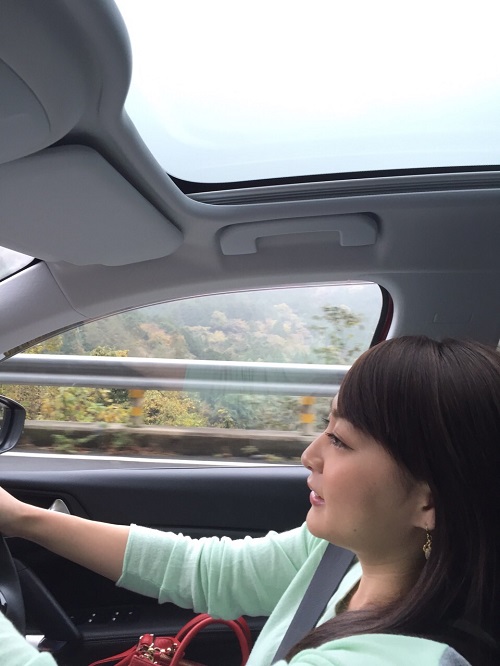 初めてのドライブ