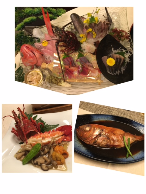 初めてのドライブ